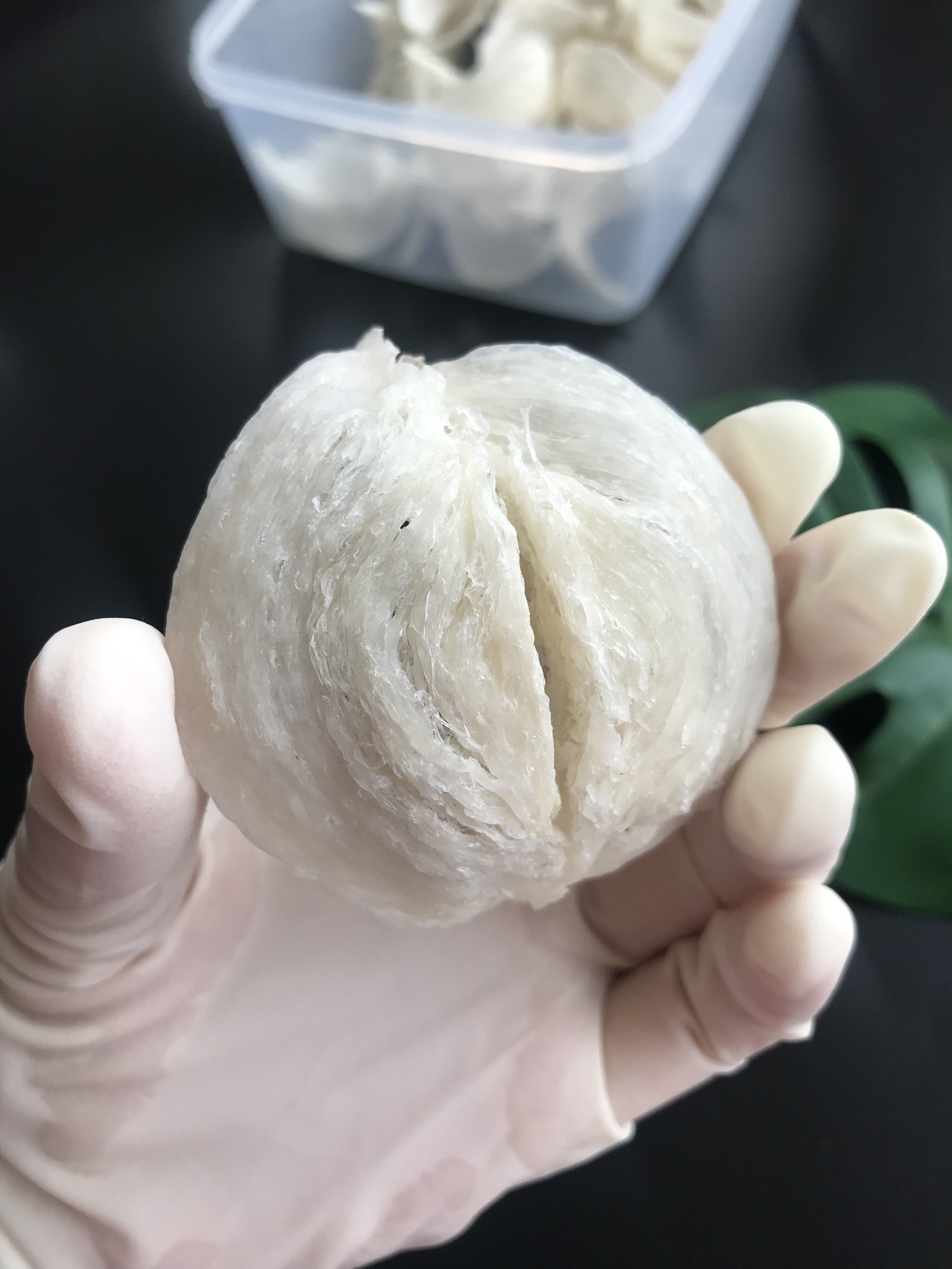 【燕伶轩】马来西亚正品燕窝 足干 4A 龙牙白燕窝 孕妇滋补品10克