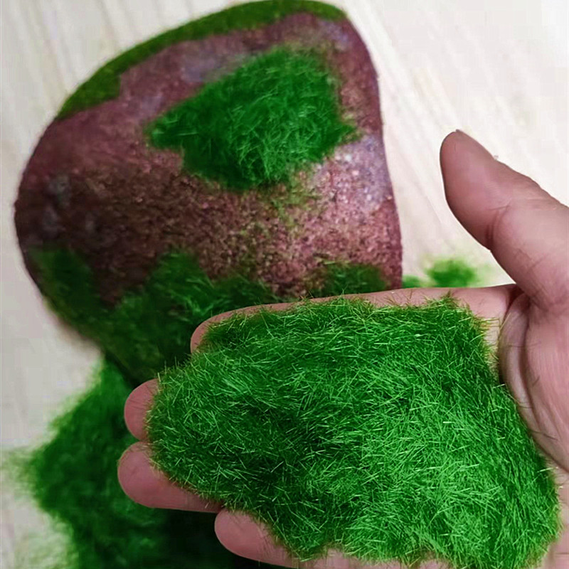 假青苔草坪仿真苔藓草