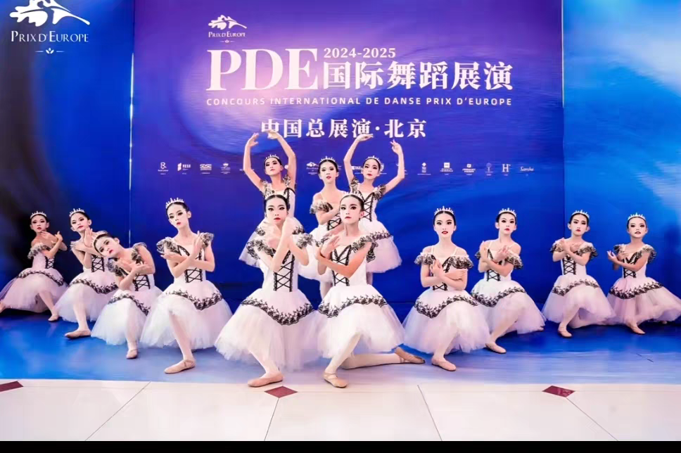 芭蕾舞裙演出白色成人比赛专业舞蹈纱裙篷篷裙仙女长裙芭蕾演出服