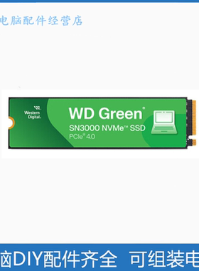 西部数据WD SN3000 1TB SSD固态硬盘 m.2 NVMe4.0 电脑高速硬盘