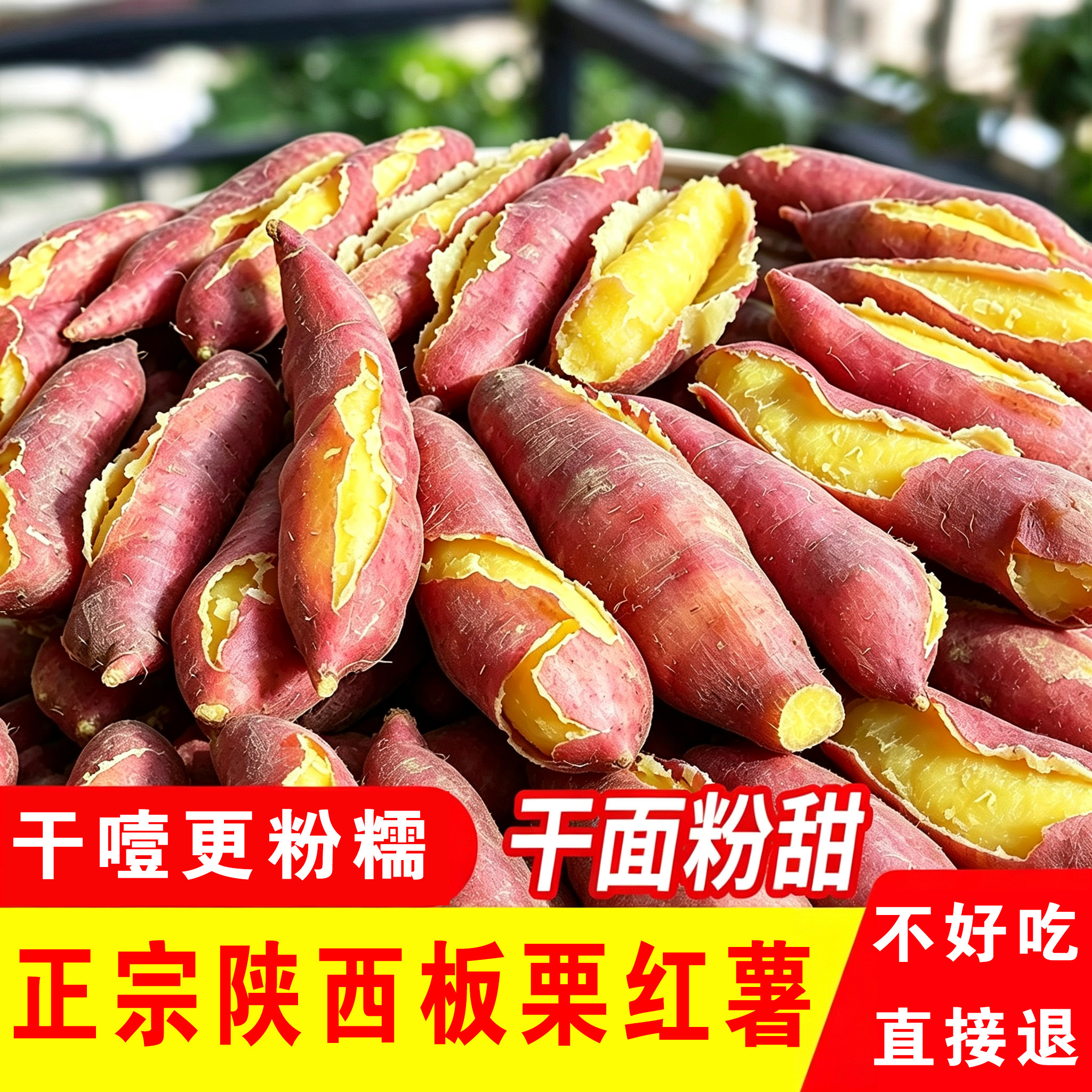 陕西正宗虢王板栗红薯沙地现挖新鲜番薯农家自种小香薯甜山芋地瓜
