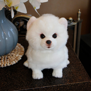 仿真博美犬萨摩耶白色狗狗玩偶公仔PP棉填充三岁以上可爱毛绒床上