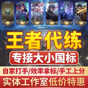 王者送荣耀代练打玩国服大小国标省标金标赛排位战力上分魔方