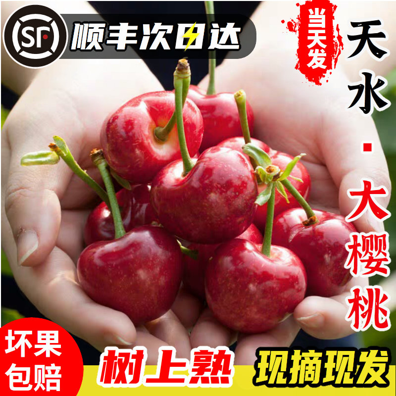 【现货】正宗天水大樱桃产地直发