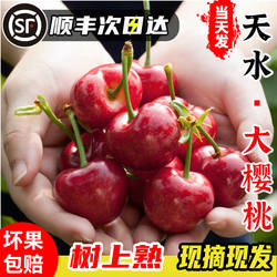 现货甘肃天水大樱桃孕妇鲜果国产车厘子新鲜樱桃水果礼盒顺丰包邮