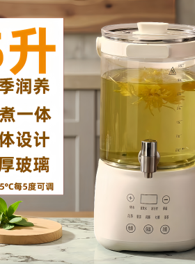 养生壶水龙头大容量5L家用果茶壶炖煮恒温多功能果酒煮花茶桶烧水