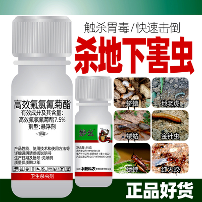 高效氟氯氰菊酯地老虎金针虫蝼蛄蛴螬杀虫剂土壤地下害虫悬浮剂