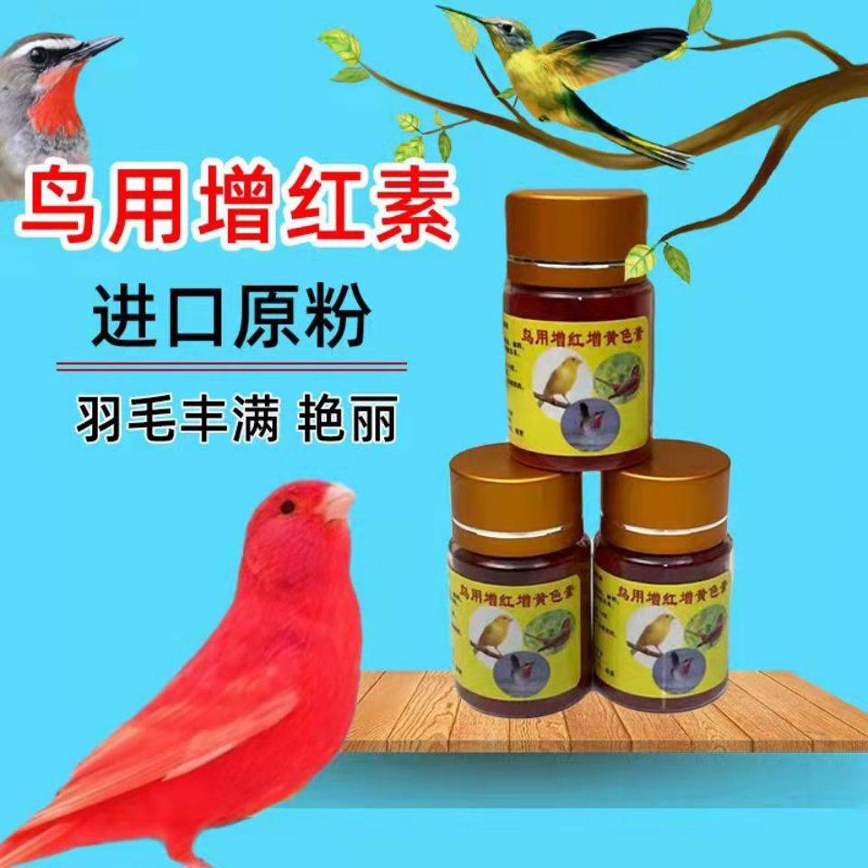 芙蓉鸟玉鸟金丝雀辣椒红红点颏鸟麻料鸟色素鸟用增素进口大红袍