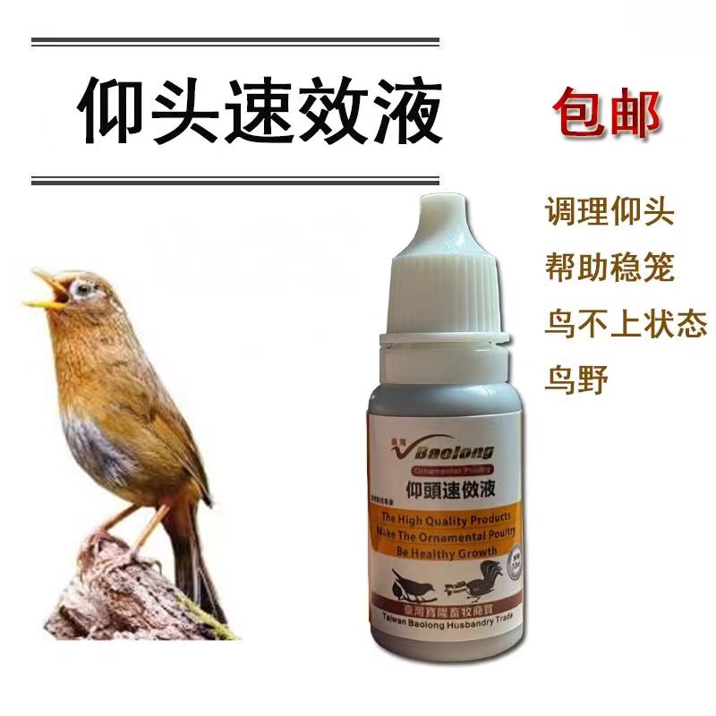 画眉鸟仰头甩头药鸟药帮助生鸟稳笼上兴仰头速效调理鸟仰头症状