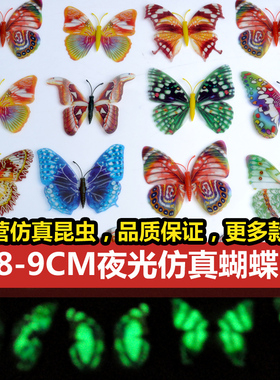 单层塑料假蝴蝶荧光别针冰箱贴