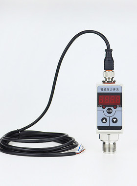 FPC-400/PA-22PS/DS201/DS200/DS202/TED5/SDW1200压力开关控制器