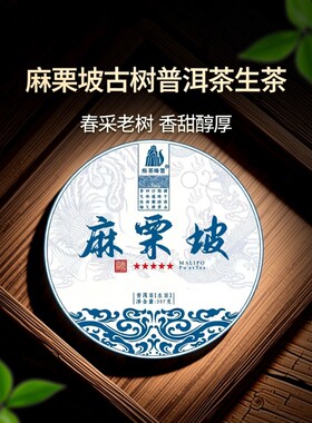 2023年麻栗坡古树普洱茶生茶云南国礼贡茶文山357克老树香甜茶叶