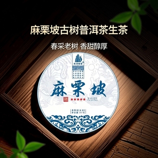 2023年麻栗坡古树普洱茶生茶云南国礼贡茶文山357克老树香甜茶叶