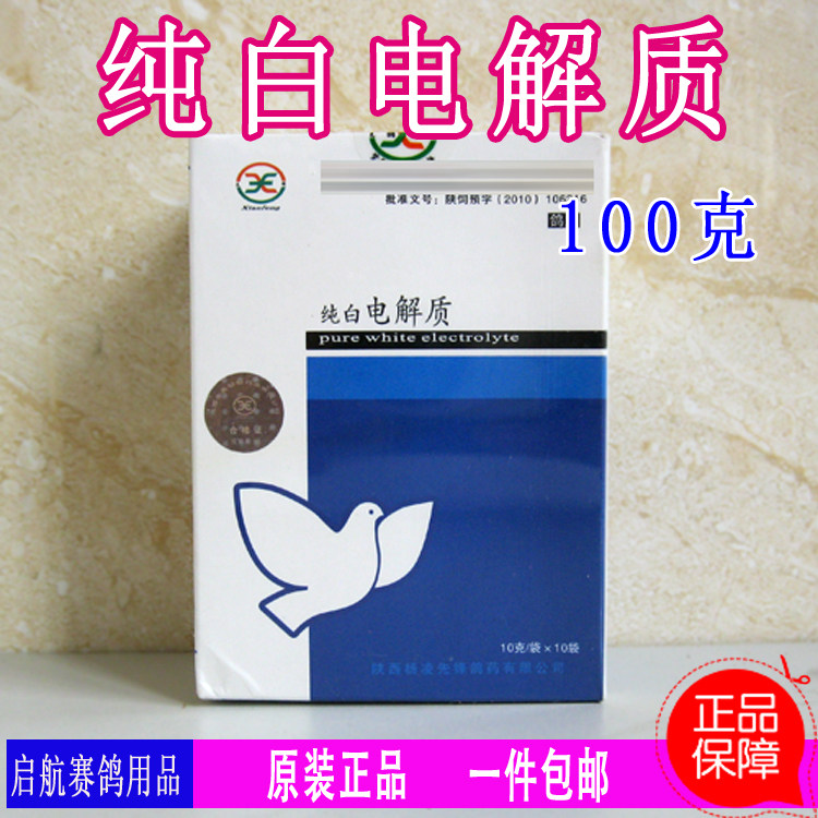 纯白电解鸽子先锋调节状态鸟鹦鹉