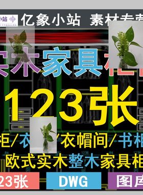 欧式美式法式整木全屋定制实木酒柜衣柜衣帽间书柜柜体CAD施工图