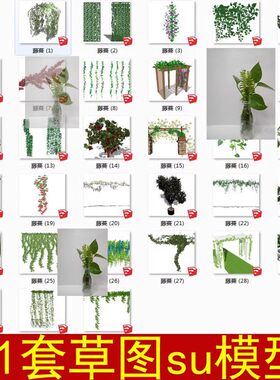 LOFT工业风植物墙植物架盆栽墙藤蔓鲜花墙葡萄架草图大师SU模型