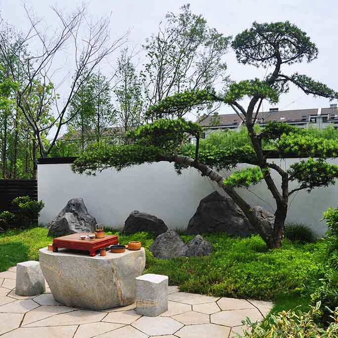 中式新中式苏式苏州园林风格民宿客栈度假村别墅庭院花园效果图