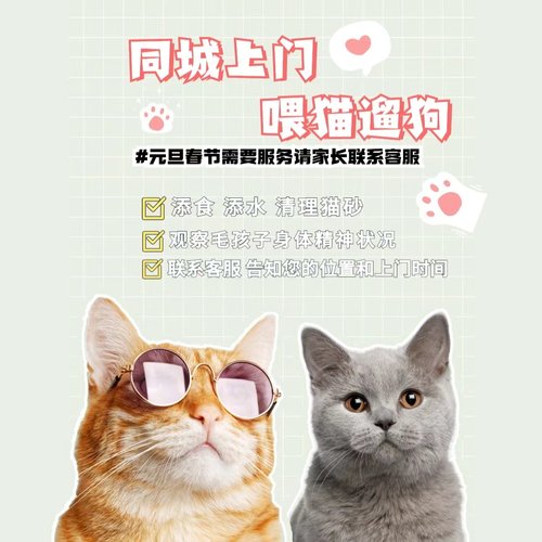 成都上门喂养宠物猫咪喂粮铲屎春节假期上门喂狗遛狗全成都都可接