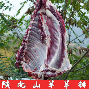 【农家现杀】陕北榆林横山羊排肋排4/6斤生肉带骨空运冷链