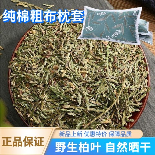 正品野生侧柏叶干叶枕头填充安神助眠枕头干侧柏叶中药材自然晒干