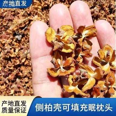 山东野生侧柏壳枕头正品柏子壳柏树籽壳枕头柏壳填充