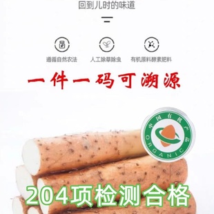 有机山药富硒认证孕婴辅食软糯新城宫家细毛垆土铁棍淮山药无农残