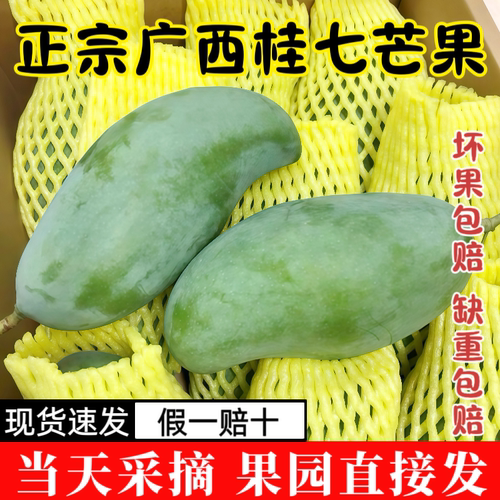 桂七香芒果正宗广西百色田东芒果直发新鲜香芒果应季水果香甜多汁