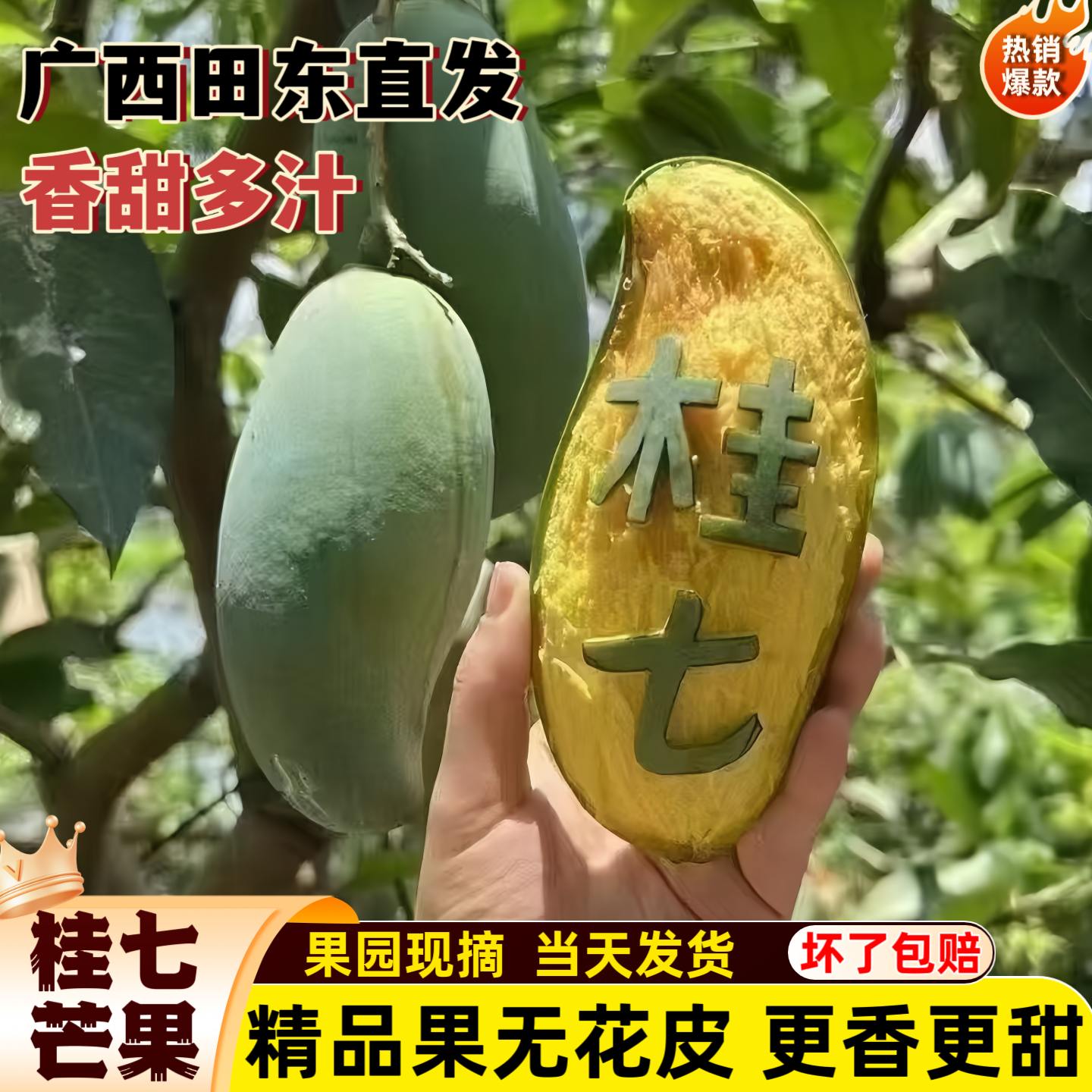 广西桂七芒果正宗百色田东直发新鲜香芒果应季水果鲜甜多汁
