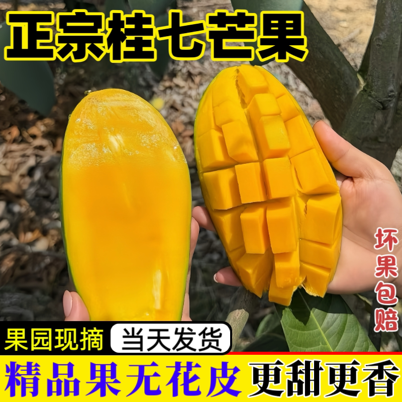 正宗桂七芒果广西百色田东芒果新鲜香芒直发鲜甜多汁应季水果