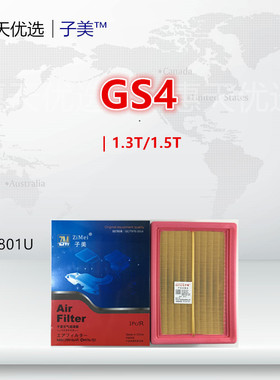 C801适配传祺GS4 GM6 GA4 GS5 GS3 M6 GA3S视界 空气滤芯清器格