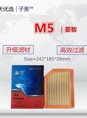 C294适配风行菱智M5L F600L M3L M7 M6 V3L 2.0L空气滤芯清器格