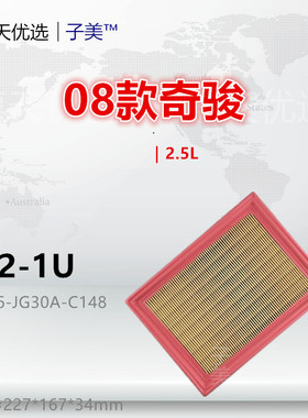 202-1U适配 奇骏 轩逸 蓝鸟 骐达 科雷傲 ESQ FX35 2.5L空气滤芯
