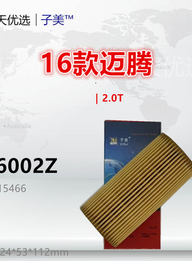 W6002Z适配蔚揽 CC 高尔夫GTI 辉昂 凌渡 迈腾 2.0T国五机油滤芯