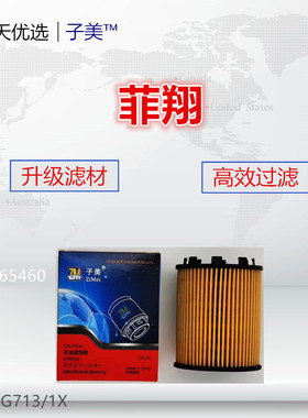 G713适配JEPP自由侠 菲亚特 菲翔 致悦 指南者1.4T机油滤芯格清器