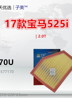 B170U适配宝马520 525 528 530 540 730 740i 840i 3.0T空气滤芯