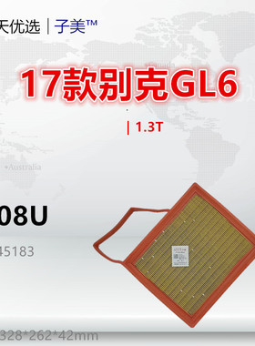 G008U适配别克GL6 阅朗 英朗 沃兰多 科鲁泽RS 1.3T空气滤芯