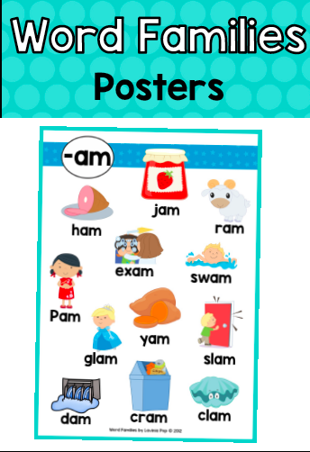 word family英语元音字母组合海报教室装修装饰教具全塑封24张