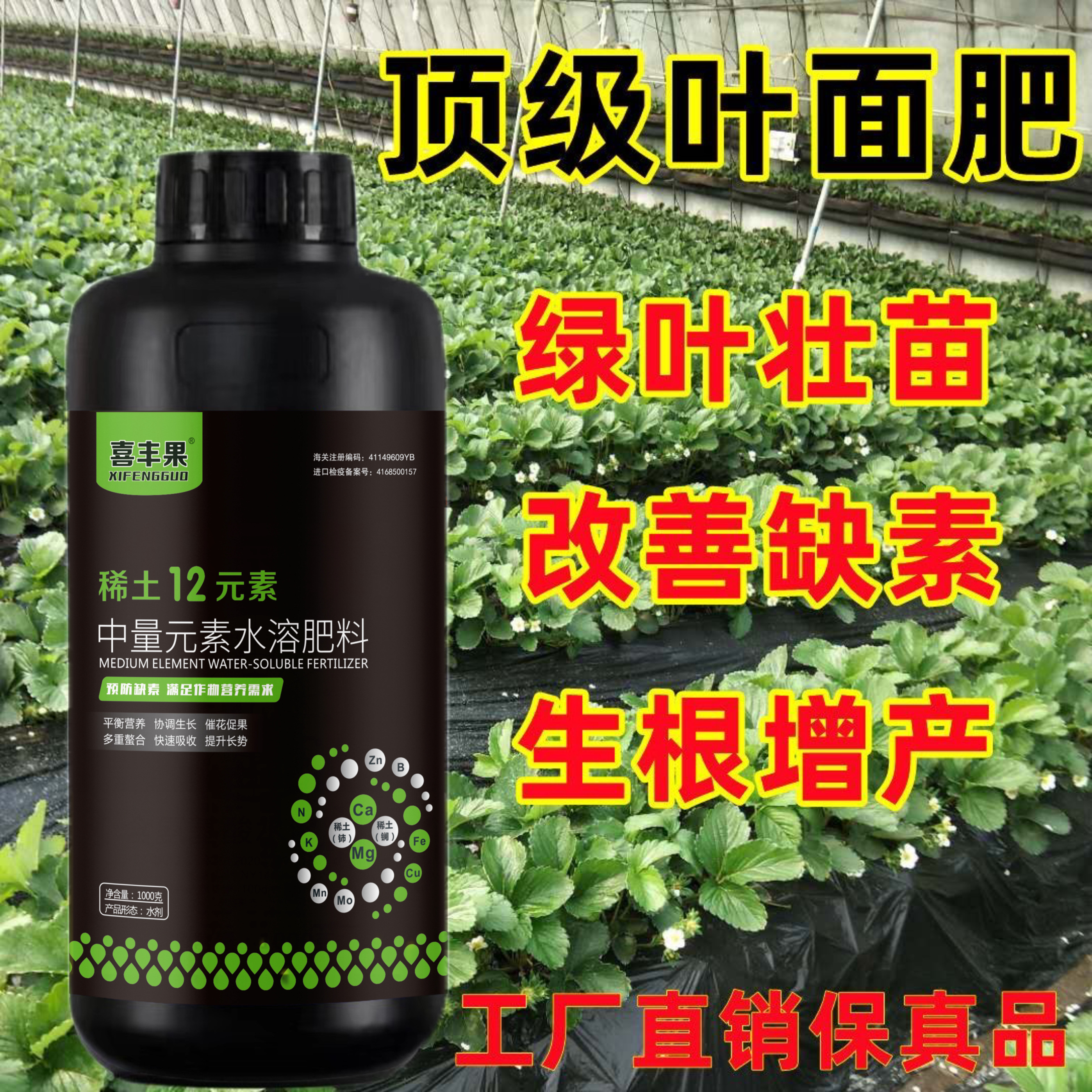 进口稀土十二元素叶面肥螯合大中微量多元素果树蔬菜通用水溶肥料