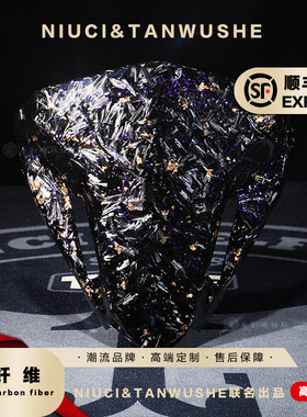 三阳XS150T-10A DGR二代原厂改装碎碳紫丝金箔碳纤维前面板