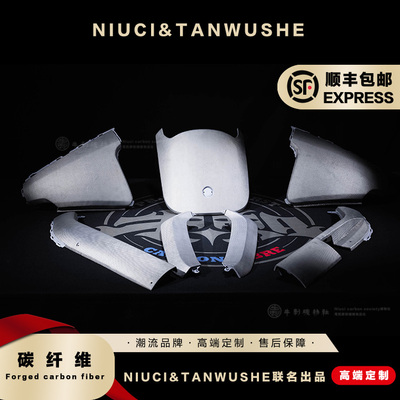 九号电动E系列E300P/E300PMK2白斜纹哑光碳纤维外壳原厂