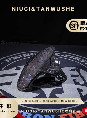 APEXX GP蜂窝紫箔碳纤维前挡泥板