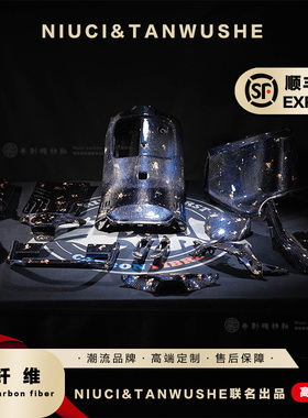 九号电动车E300Pmk2原车改装蓝丝金箔碳纤维黑件pp件全套