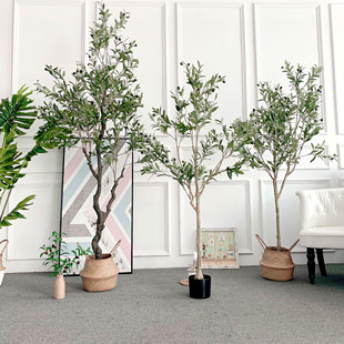 北欧大型仿真橄榄树网红盆景油橄榄服装店橱窗室内客厅落地摆件