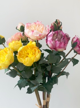 高端干枯系列玄关样品间餐桌花