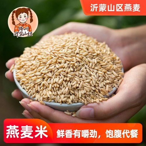 山妞新燕麦米农家种植燕麦粒燕麦仁野麦雀麦五谷杂粮满额包邮500g - 封面