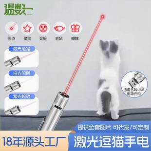 温数一充电一体式 便携激光逗猫棒 多功能宠物玩具 猫玩具