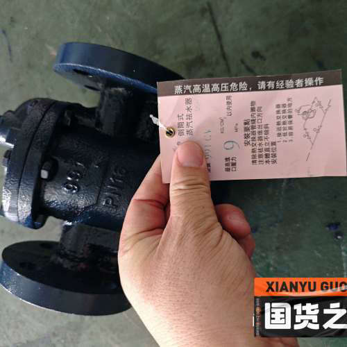 台州设备DSC倒掉桶蒸汽疏水阀 981 991 自动排水器DN15