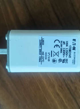台州设备BUSSMANN熔断器 170M3141  100A  12