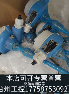 台州设备E+H  D-87484恩德斯豪斯PT100热电阻T