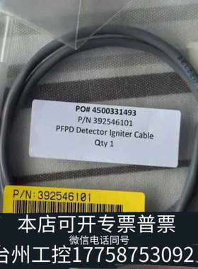 台州设备布鲁克PFPD点火线圈